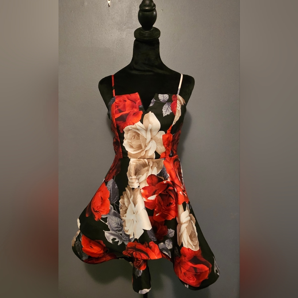 Prom/Homecoming Short Formal Dress Black With Red Roses